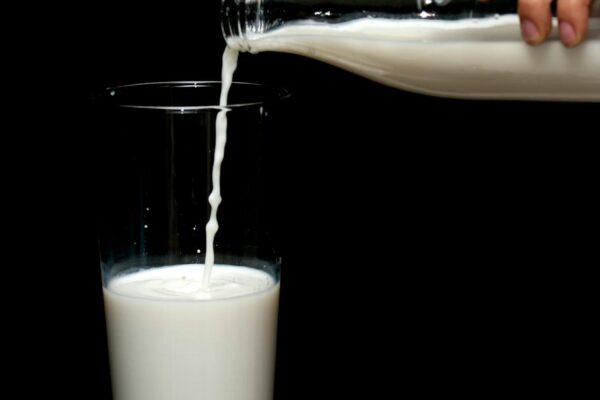 Milchprodukte Bio Molkerei - Andechser Molkerei Bayern