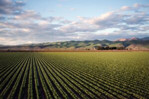 Getreidefeld Landwirtschaft - EU-Agrarrat GAP 2028 Bayern