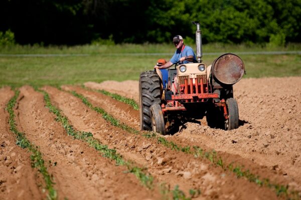 Traktor auf Feld Landwirtschaft - Sofortprogramm Bayerischer Bauernverband