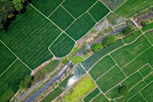 Landwirtschaftliche Felder Drohnenaufnahme - Betriebssterben Landwirtschaft Bayern