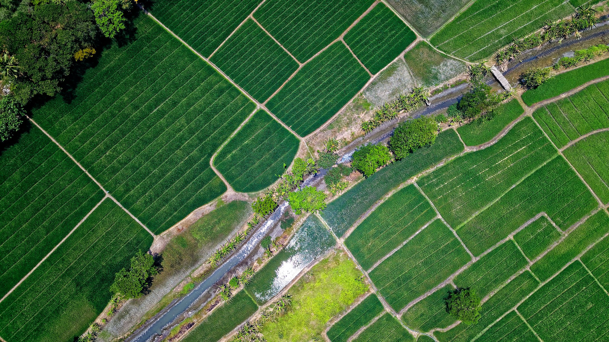Landwirtschaftliche Felder Drohnenaufnahme - Betriebssterben Landwirtschaft Bayern